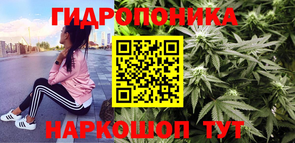 Марихуана конопля Лениногорск